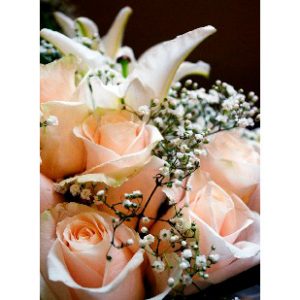 Kort - Roser i buket i champagnefarve (25 stk.)